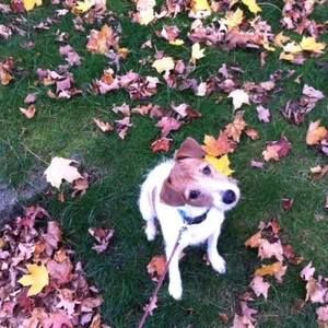 Meet your Posher, Mark